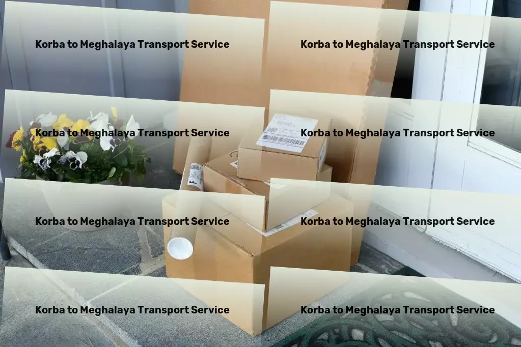 Korba to Meghalaya Bike Transport And Scooty Courier High-capacity logistics operations